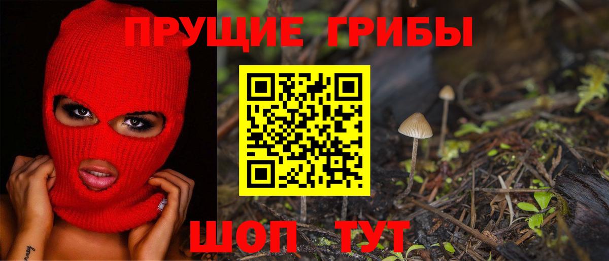 Галлюциногенные грибы мухоморы  Псилоцибиновые грибы прущие грибы  Владимир  Вход с VPN 